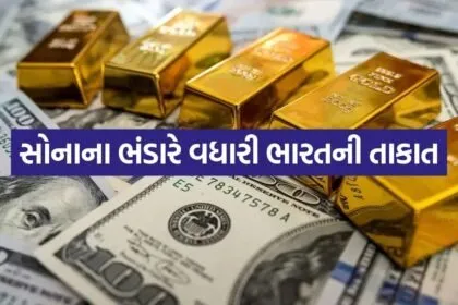 forex 1206
