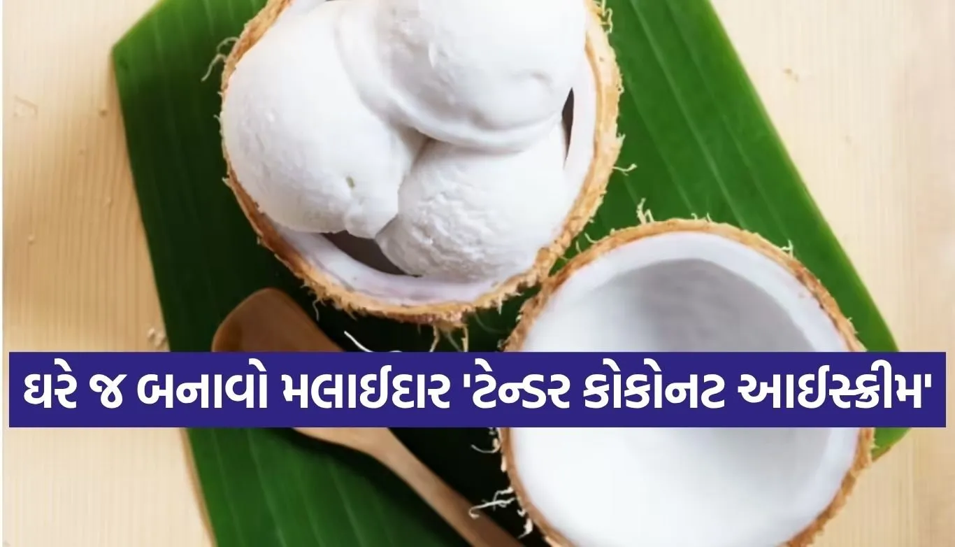 Coconut Ice Cream