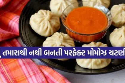 Momos Chutney