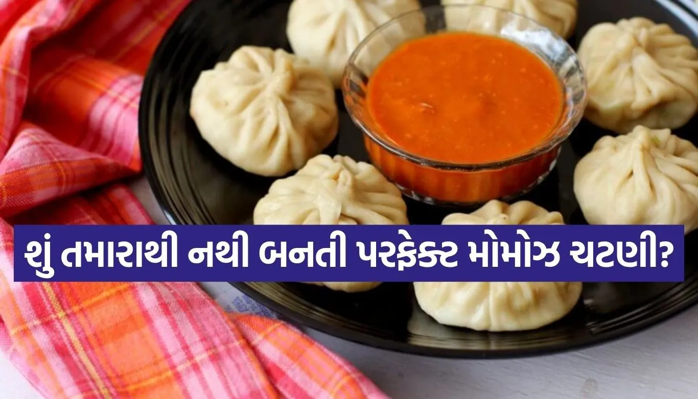 Momos Chutney