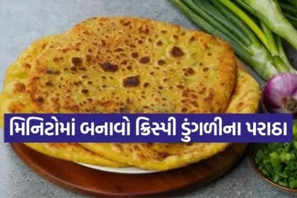 Onion Paratha