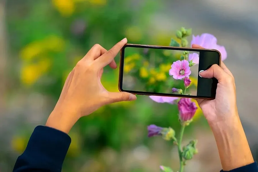 Photography Tips