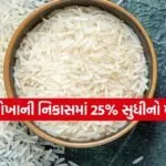 Basmati Rice