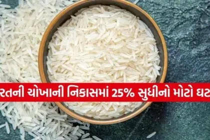 Basmati Rice
