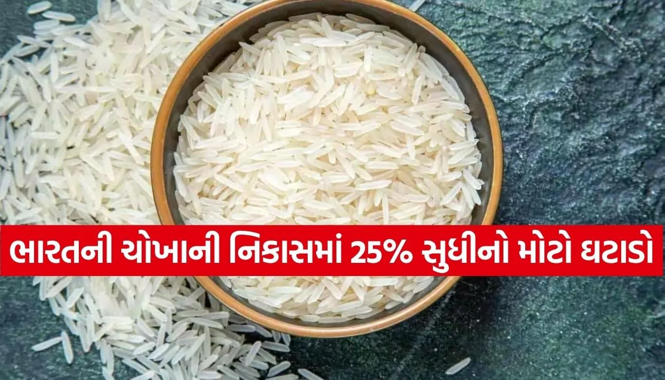 Basmati Rice
