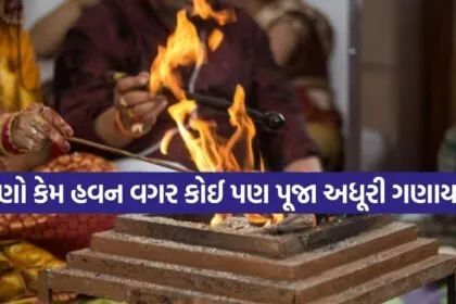 Havan Ritual