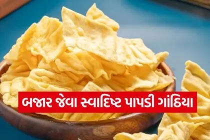 Papdi gathiya 1606