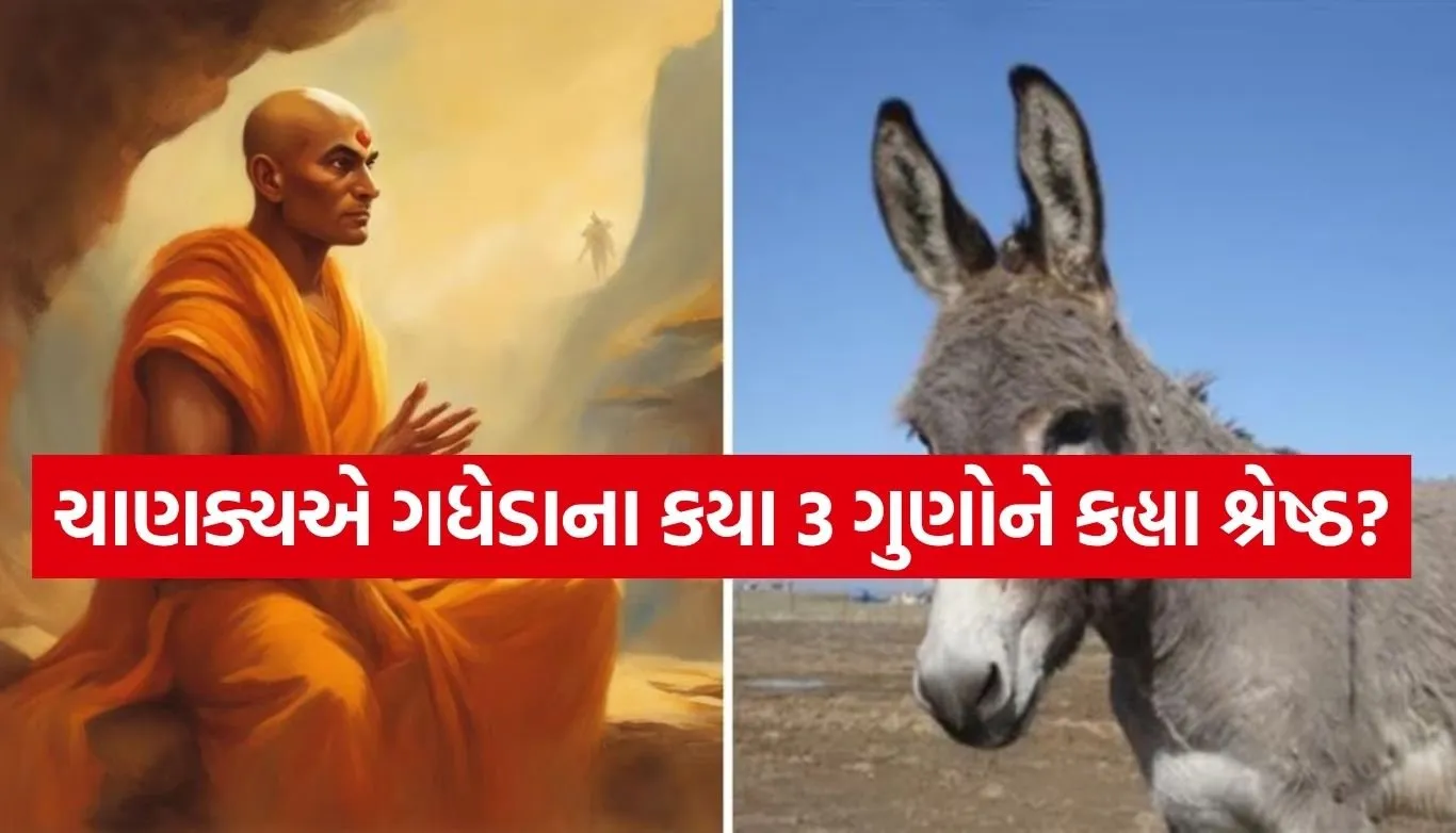 Chanakya Niti