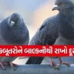 Pigeons 1606