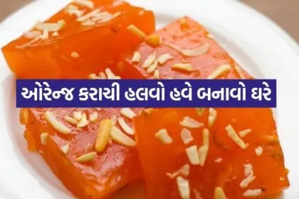 Karachi Halwo 1606