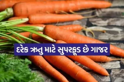 carrots 1606