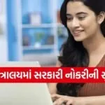 Government Job