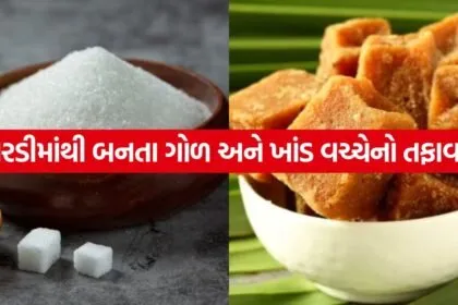 jaggery 1606