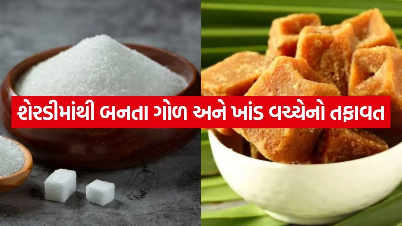 jaggery 1606.jpg