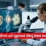 India 2026 06 18T135132.245