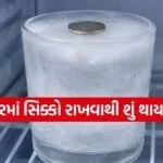Coin in fridge