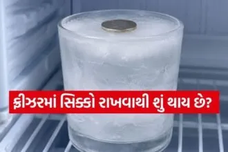 Coin in fridge