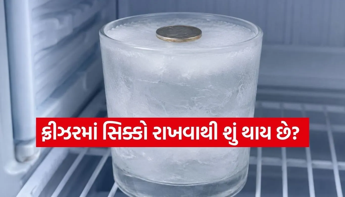 Coin in fridge