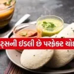 Oats Idli