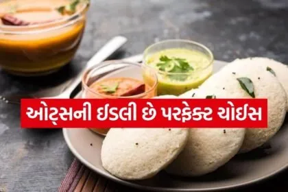 Oats Idli
