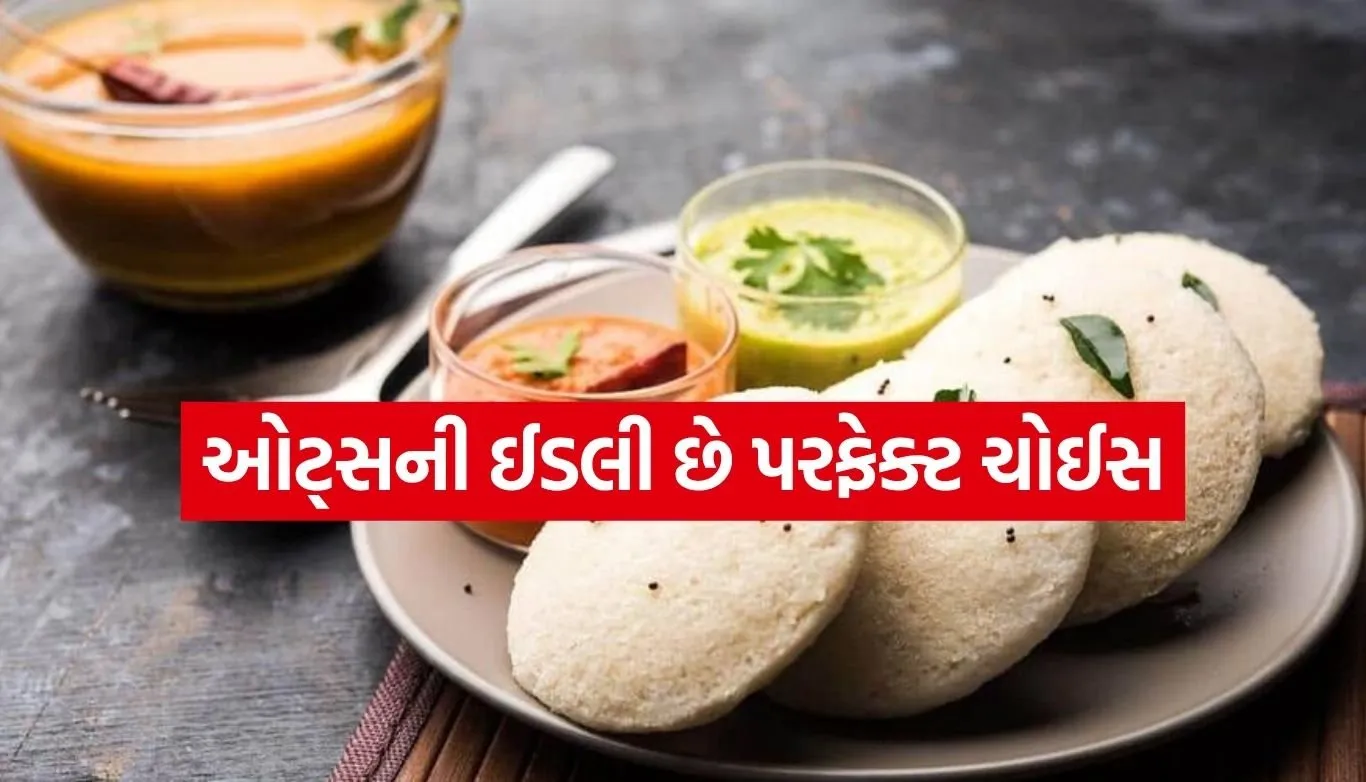 Oats Idli