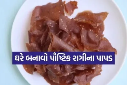 Millet Papad