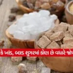 dharmishtha 1 18