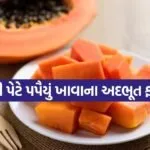 Papaya 1606