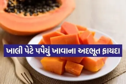 Papaya 1606