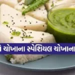 Rice Dhokla