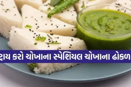 Rice Dhokla