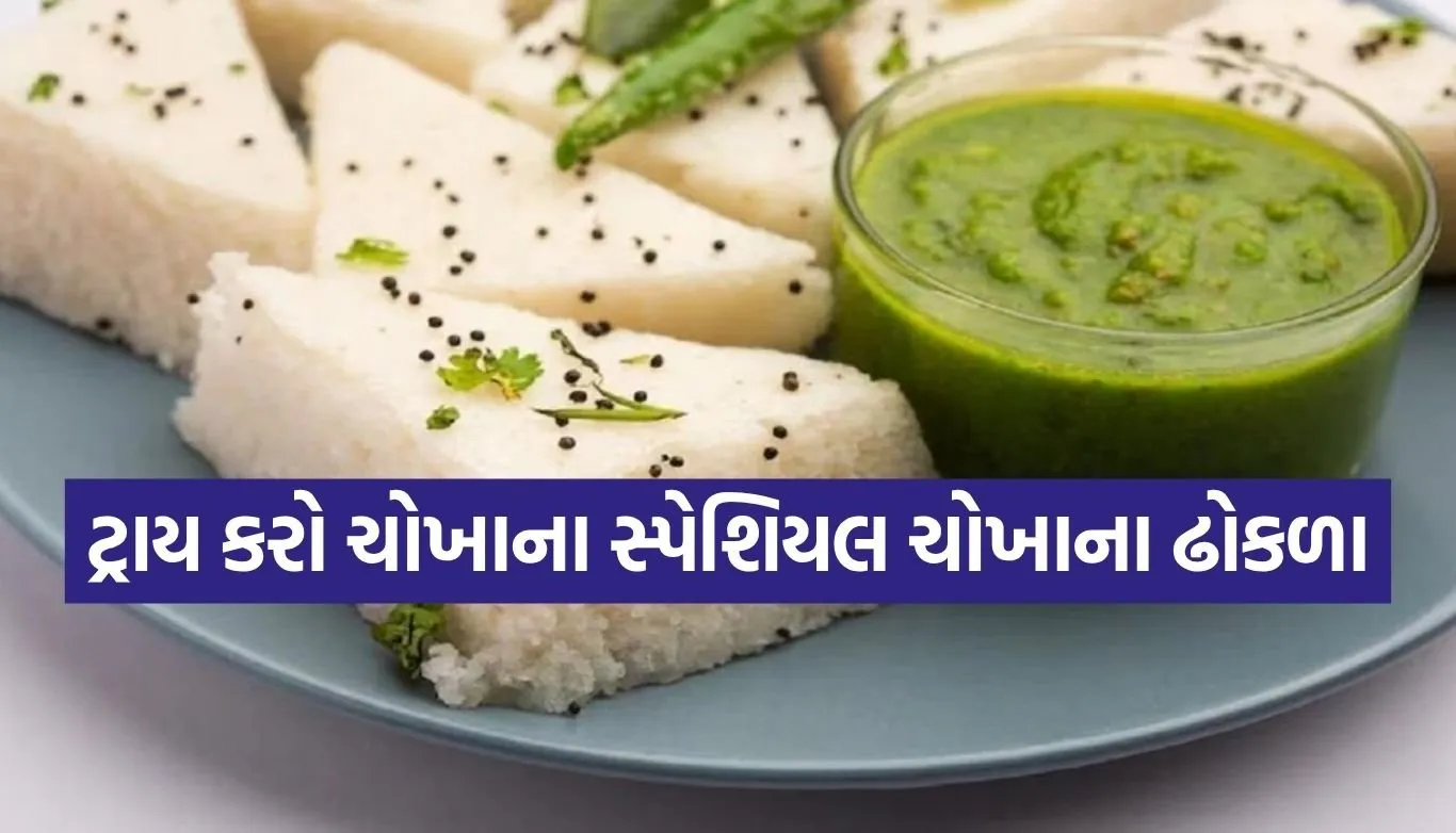 Rice Dhokla