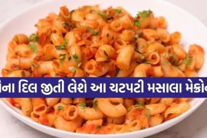 Masala Macaroni