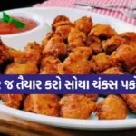 Soya Pakoda 2006
