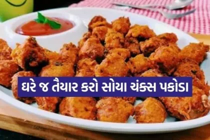 Soya Pakoda 2006