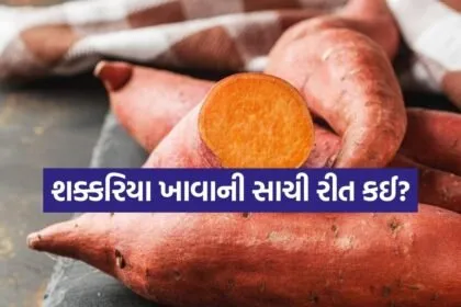 Sweet Potato 2006