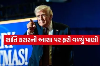 trump 2206