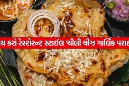 Chili Cheese Garlic Paratha 2006