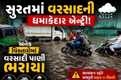 WhatsApp Image 2026 06 22 at 12.09.45 PM