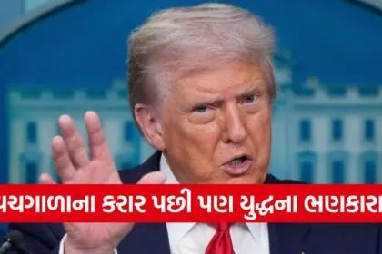 Trump 2206 2