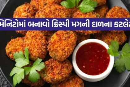 green moong dal cutlet 2206