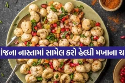 Makhana chaat