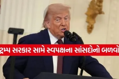 Trump 2206 4