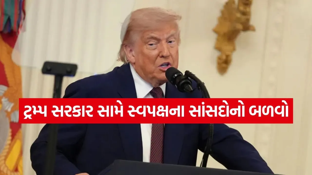 Trump 2206 4.jpg