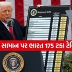 Trump 2206 5