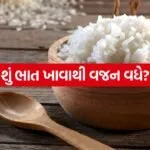 Rice 2206