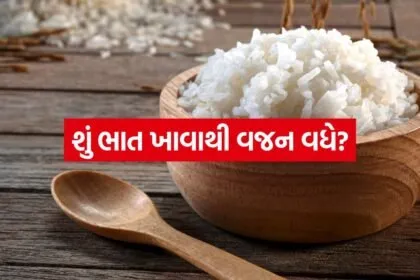Rice 2206
