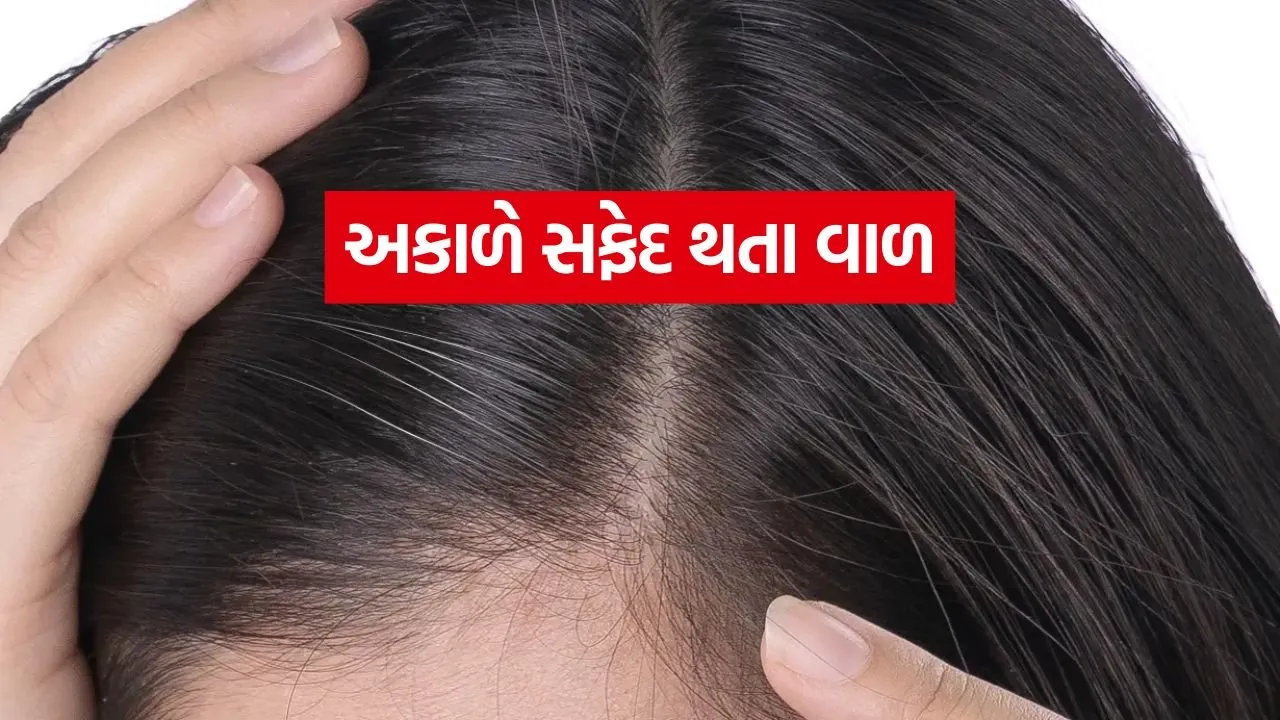 Hair 2206.jpg