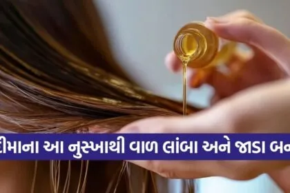 Hair oil 2206