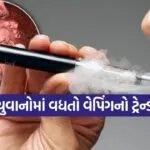 Vape 2206